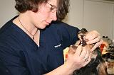 AUSCULTATION 127